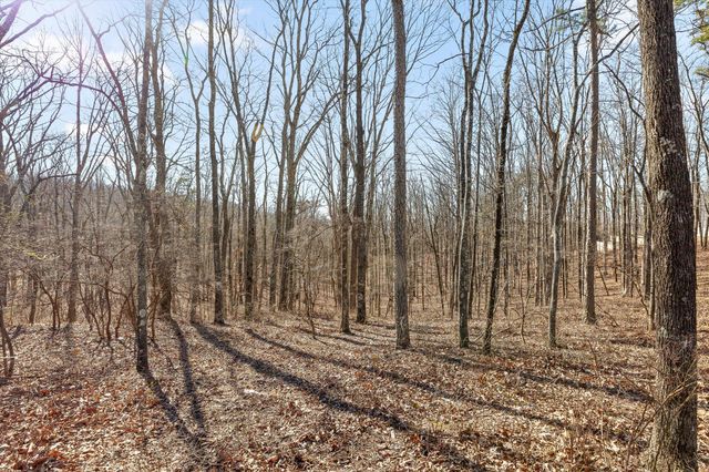 3015 River Gorge Drive Homesite 974, Chattanooga, TN 37419