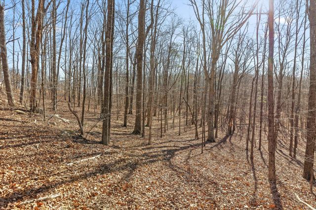 3015 River Gorge Drive Homesite 974, Chattanooga, TN 37419