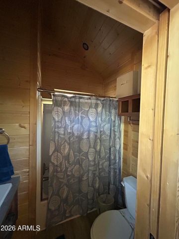 4020 S ELK TROT Loop, Show Low, AZ 85901