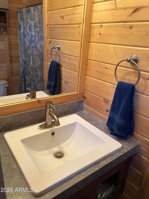 Image 23 of property listing at 4020 S ELK TROT Loop, Show Low, AZ 85901