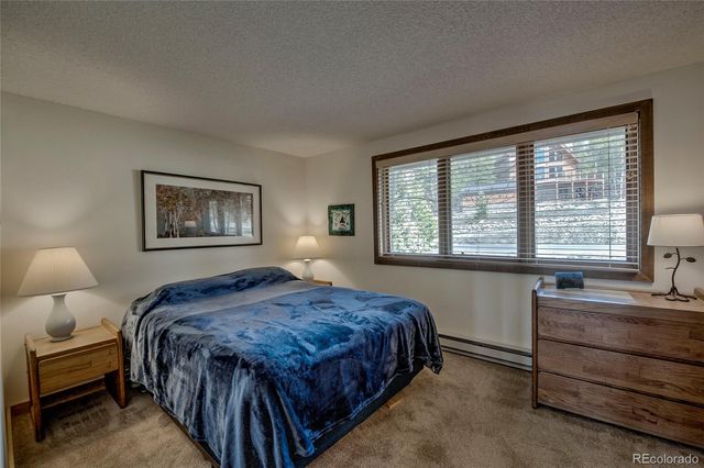 187 N Fuller Placer Road B, Breckenridge, CO 80424
