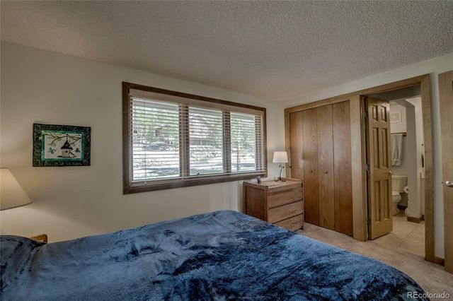 187 N Fuller Placer Road B, Breckenridge, CO 80424