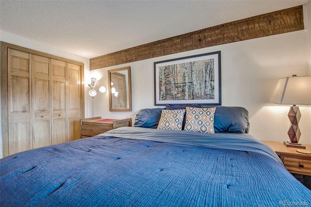 187 N Fuller Placer Road B, Breckenridge, CO 80424