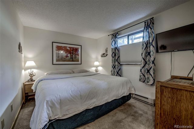 187 N Fuller Placer Road B, Breckenridge, CO 80424