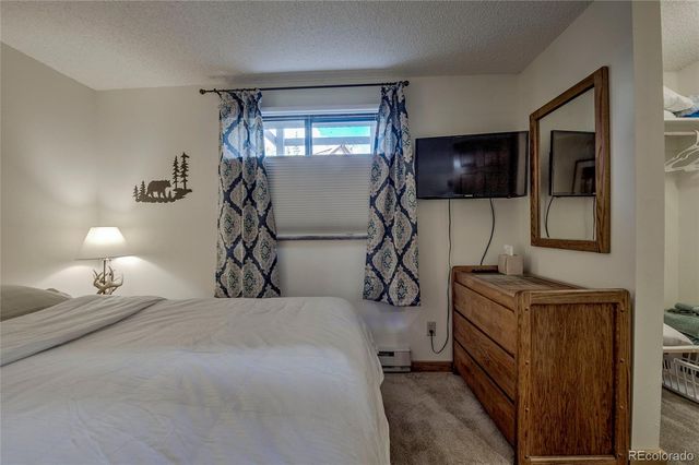 187 N Fuller Placer Road B, Breckenridge, CO 80424