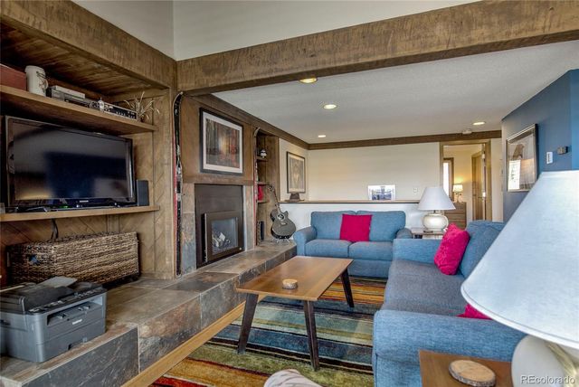 187 N Fuller Placer Road B, Breckenridge, CO 80424