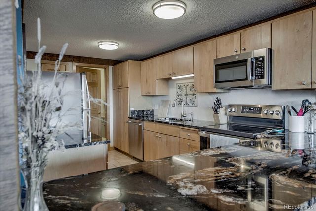 187 N Fuller Placer Road B, Breckenridge, CO 80424