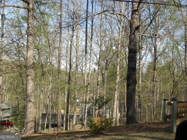 1323 Seven Forks Road, Martin, GA 30557
