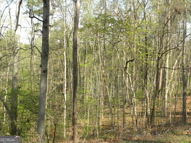 1323 Seven Forks Road, Martin, GA 30557