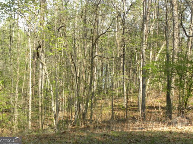 1323 Seven Forks Road, Martin, GA 30557