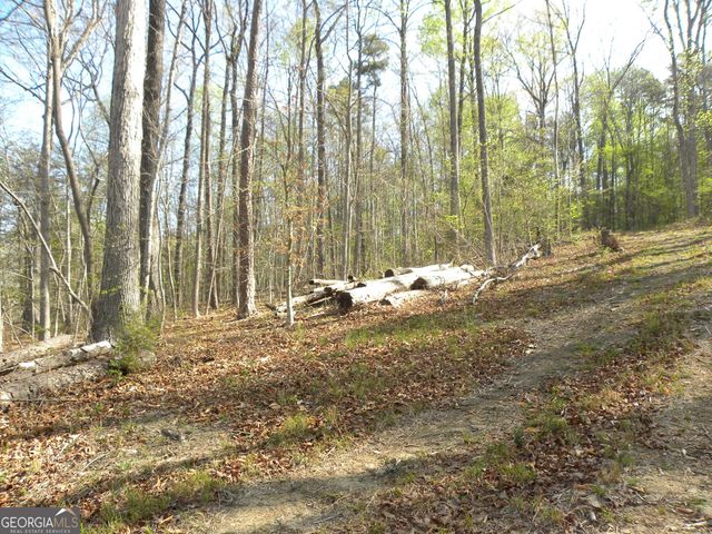 1323 Seven Forks Road, Martin, GA 30557