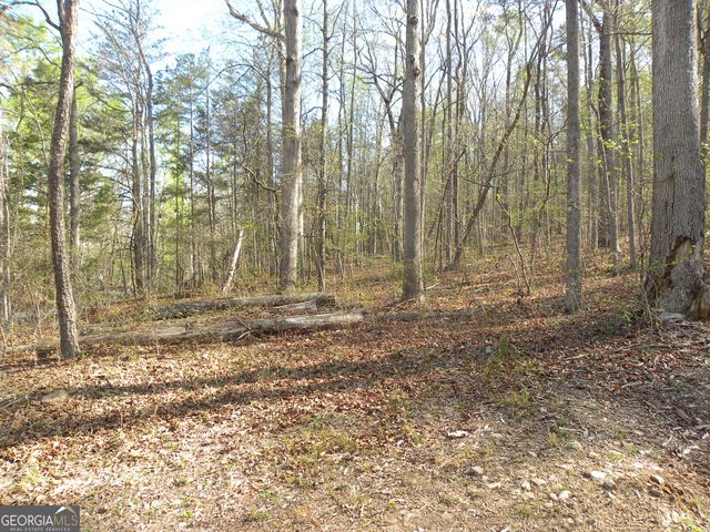 1323 Seven Forks Road, Martin, GA 30557