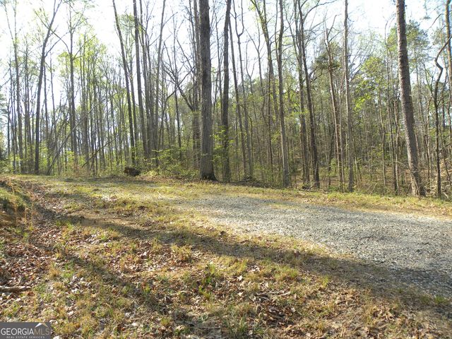 1323 Seven Forks Road, Martin, GA 30557