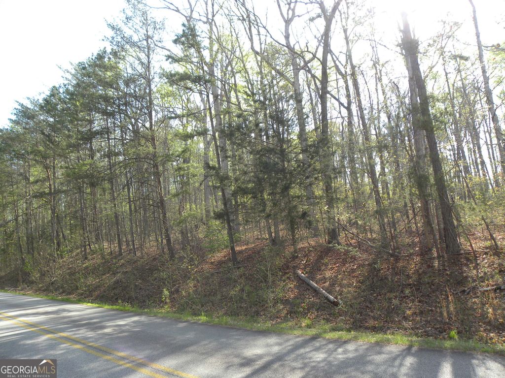1323 Seven Forks Road, Martin, GA 30557