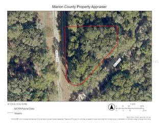 00000 NE 11TH COURT, Fort Mc Coy, FL 32134