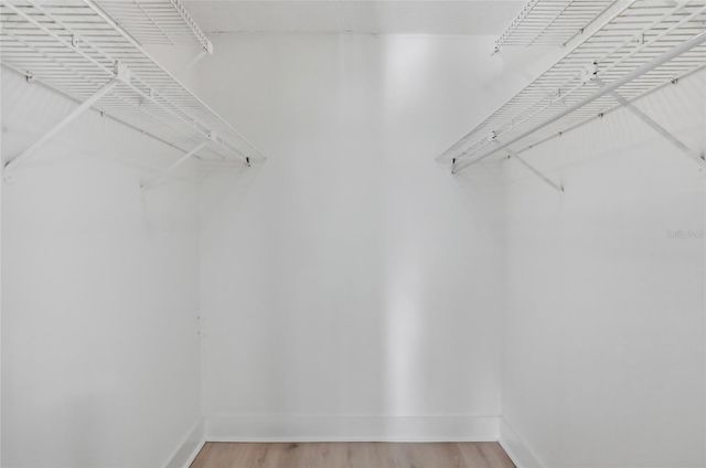 2682 SABAL SPRINGS CIRCLE 204, Clearwater, FL 33761