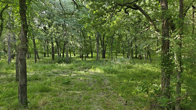 596 County Road 4668, Rhome, TX 76078
