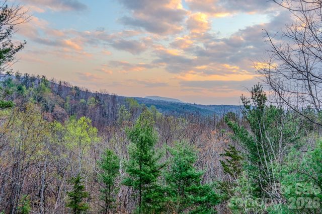 9147 Shortoff View Terrace, Nebo, NC 28761