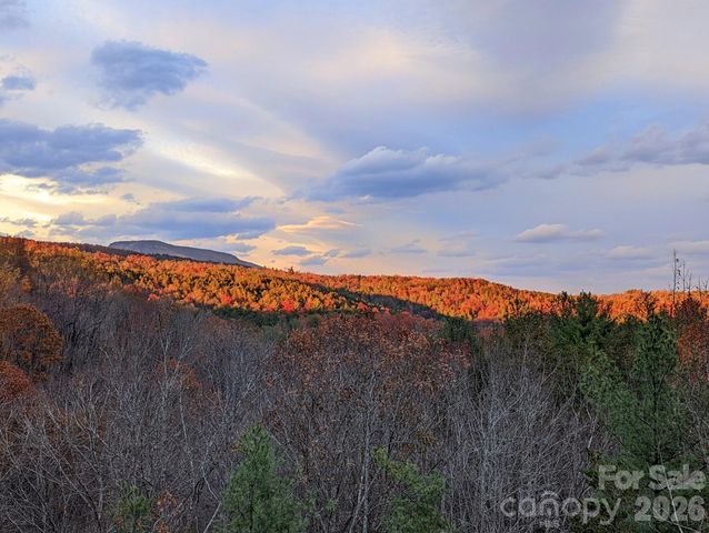 9147 Shortoff View Terrace, Nebo, NC 28761