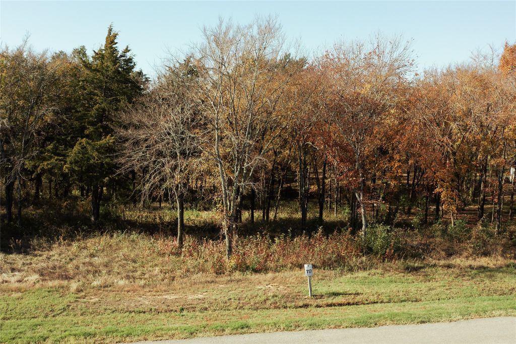 307 Cedar Creek Landing Lane, Mabank, TX 75143