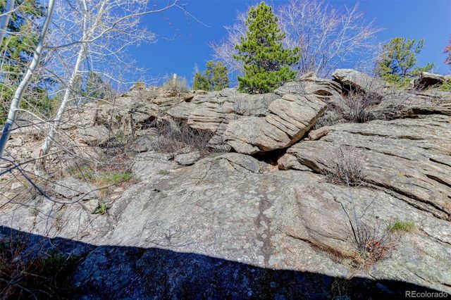 1255 Hy Vu Drive, Evergreen, CO 80439