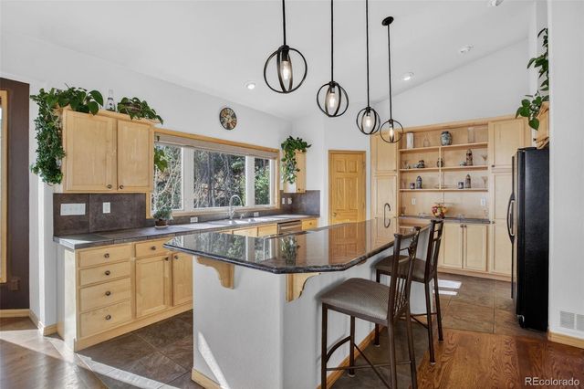 1255 Hy Vu Drive, Evergreen, CO 80439