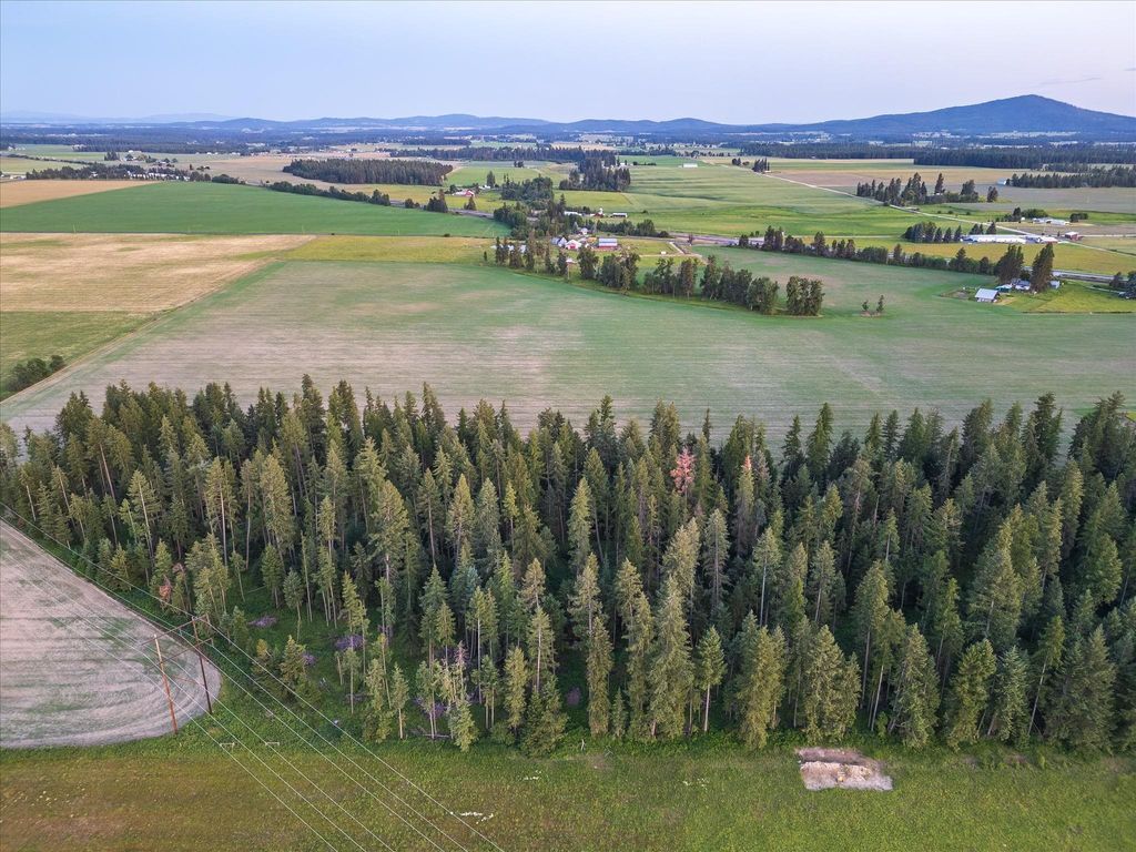 NKA Furze (Lot 4) Rd, Clayton, WA 99110 photo 1