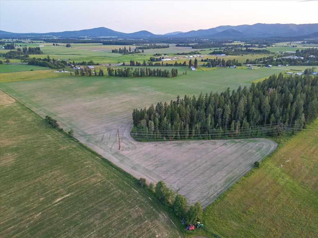 NKA Furze (Lot 4) Rd, Clayton, WA 99110 photo 3