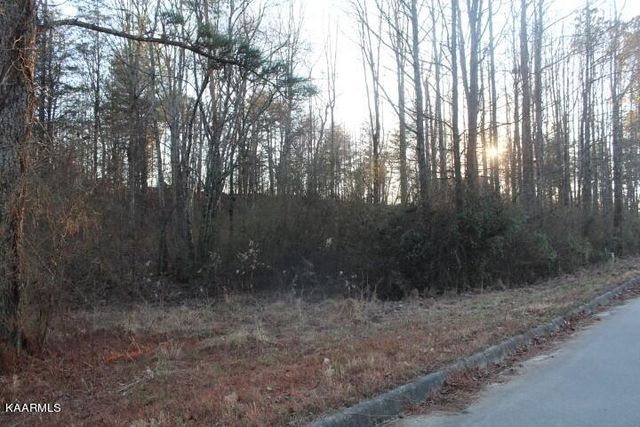COUNTY ROAD 786 Lot 2, Etowah, TN 37331
