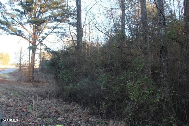 COUNTY ROAD 786 Lot 2, Etowah, TN 37331
