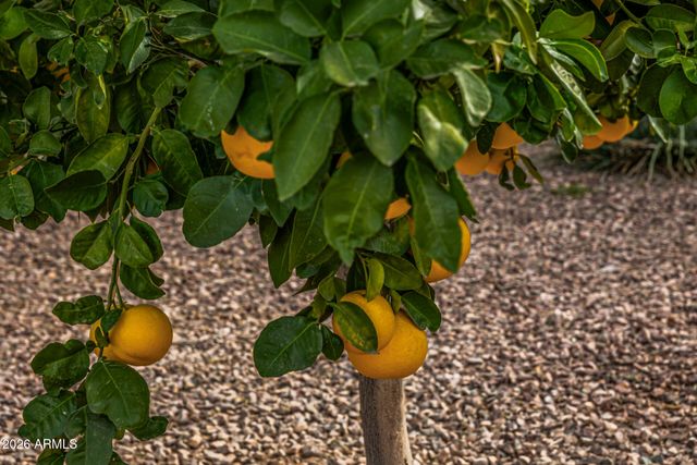 25614 W Melanie Drive, Wittmann, AZ 85361