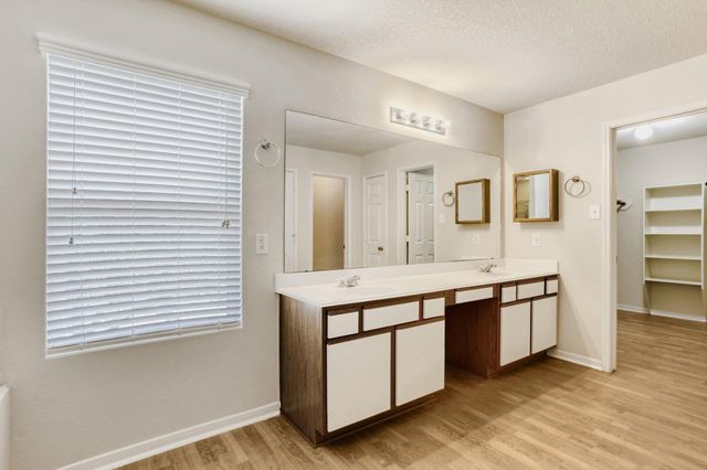 16870 Blackberry Lily Lane, Conroe, TX 77385