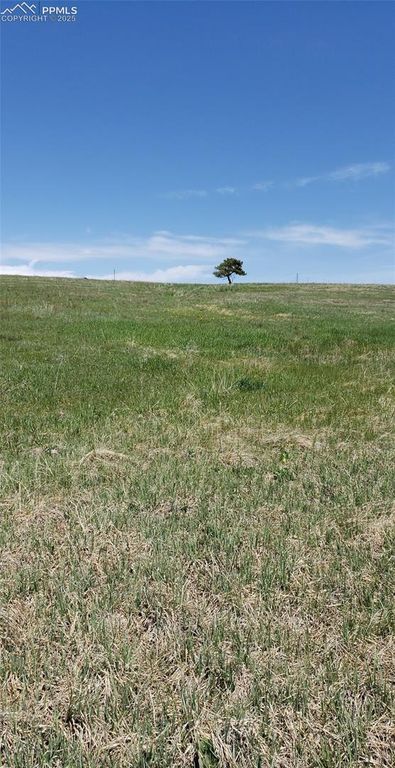 18795 Brown Road, Colorado Springs, CO 80908 — photo 2