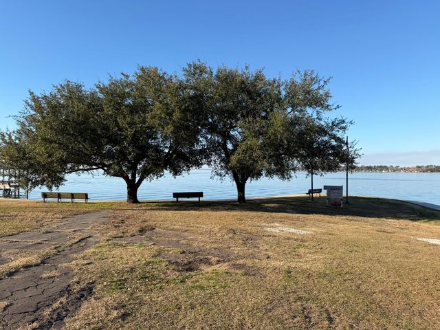 217 Woodland Drive, Livingston, TX 77351