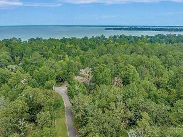 217 Woodland Drive, Livingston, TX 77351