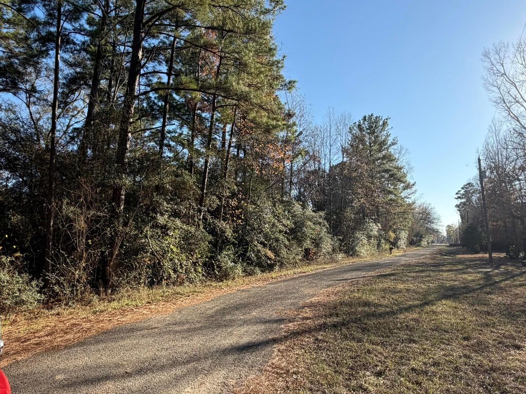217 Woodland Drive, Livingston, TX 77351