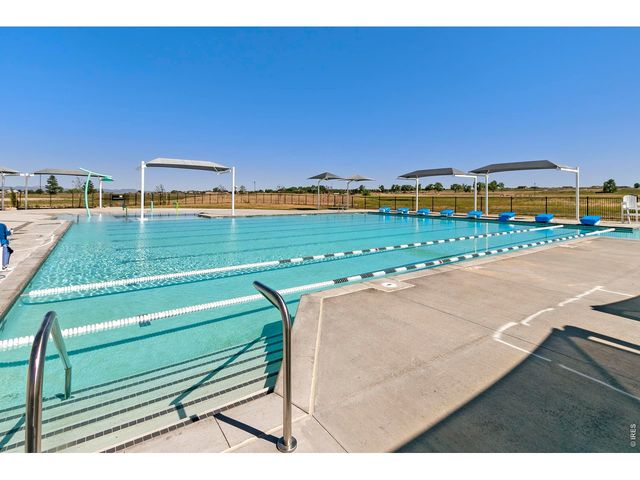4916 Autumn Leaf Dr, Timnath, CO 80547