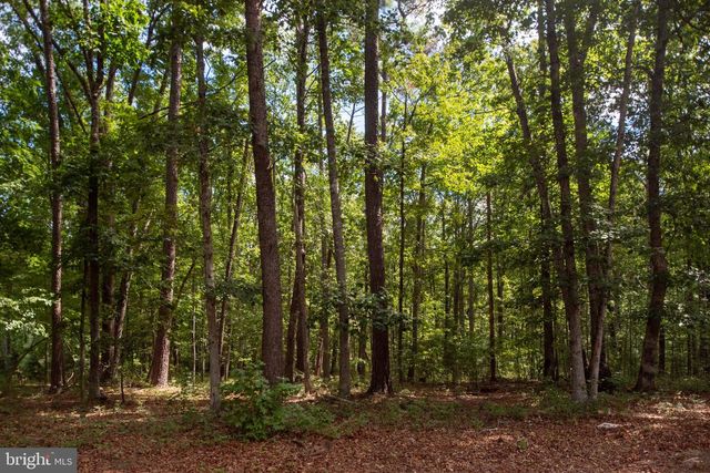 11204 HONOR BRIDGE FARM PLACE PL, Spotsylvania, VA 22551