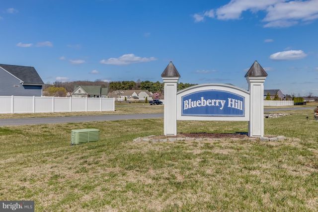 20341 BLUEBERRY DR, Lincoln, DE 19960