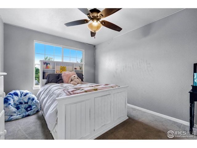 116 Cobble Ct, Windsor, CO 80550