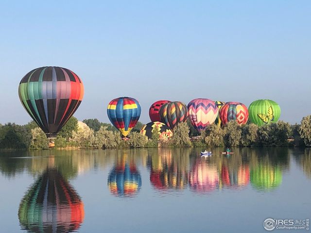 116 Cobble Ct, Windsor, CO 80550