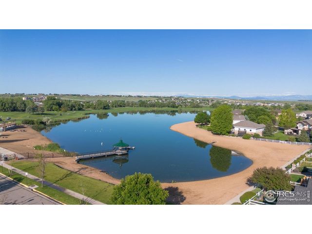 116 Cobble Ct, Windsor, CO 80550