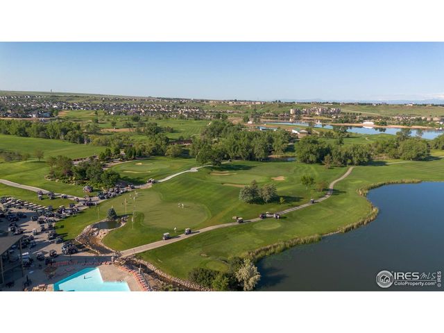 116 Cobble Ct, Windsor, CO 80550