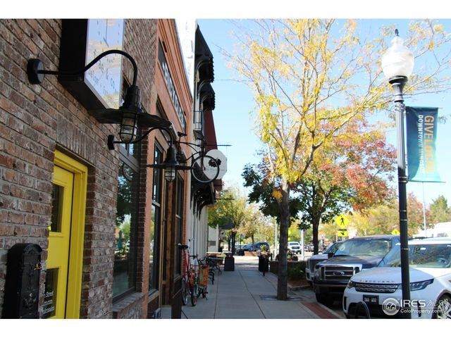 116 Cobble Ct, Windsor, CO 80550