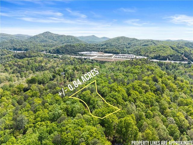 108 Plainsman Lane, Tiger, GA 30576