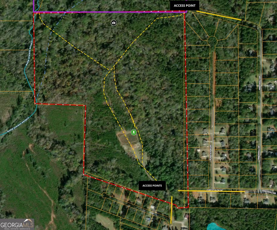75 ACRES Roosevelt Highway, Warm Springs, GA 31830