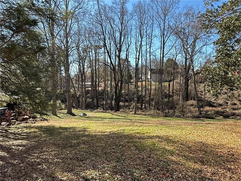 155 Stripling Street, Ball Ground, GA 30107