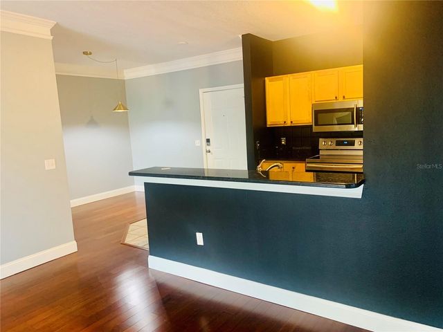 4207 S DALE MABRY HIGHWAY 2301, Tampa, FL 33611