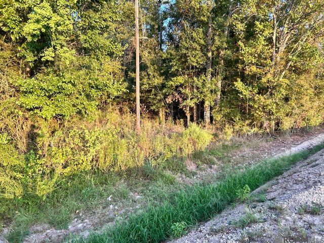 TBA 1-C La Hwy 431, Prairieville, LA 70769