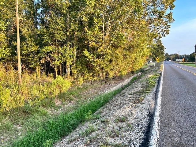TBA 1-C La Hwy 431, Prairieville, LA 70769